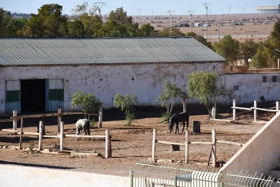 Equestrian & Horse Games Center